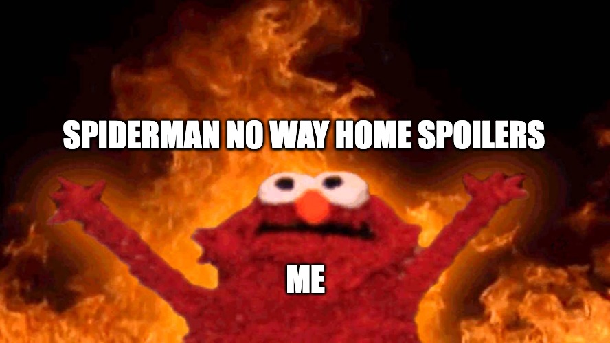 no way home spoilers | SPIDERMAN NO WAY HOME SPOILERS; ME | image tagged in elmo fire | made w/ Imgflip meme maker