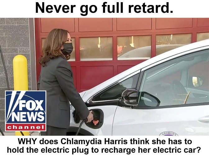 Never go full retard. | image tagged in kamala harris,chlamydia harris,full retard,never go full retard,stupid college graduate,college liberal | made w/ Imgflip meme maker