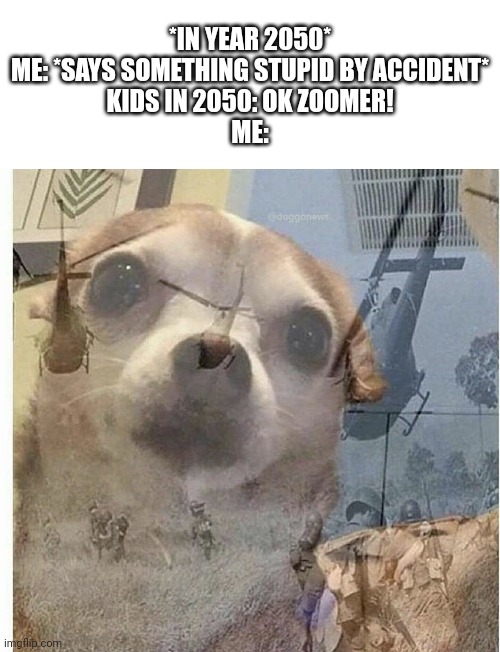 Okay... Gamma generation? | *IN YEAR 2050*
ME: *SAYS SOMETHING STUPID BY ACCIDENT*
KIDS IN 2050: OK ZOOMER!
ME: | image tagged in ptsd chihuahua,gen z,gen z humor | made w/ Imgflip meme maker