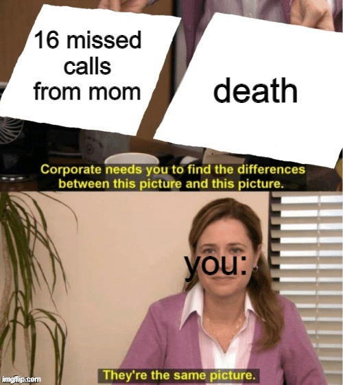 basically the same outcome | 16 missed calls from mom; death; you: | image tagged in they re the same thing | made w/ Imgflip meme maker
