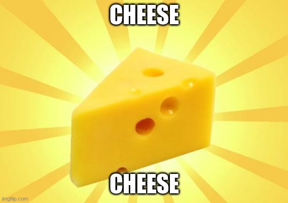 cheese | CHEESE; CHEESE | image tagged in cheese time | made w/ Imgflip meme maker