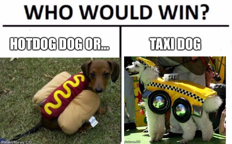 Doogys | HOTDOG DOG OR…; TAXI DOG | image tagged in funny dogs | made w/ Imgflip meme maker