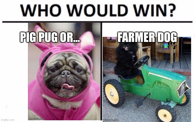 More doogys | PIG PUG OR…; FARMER DOG | image tagged in memes,who would win | made w/ Imgflip meme maker