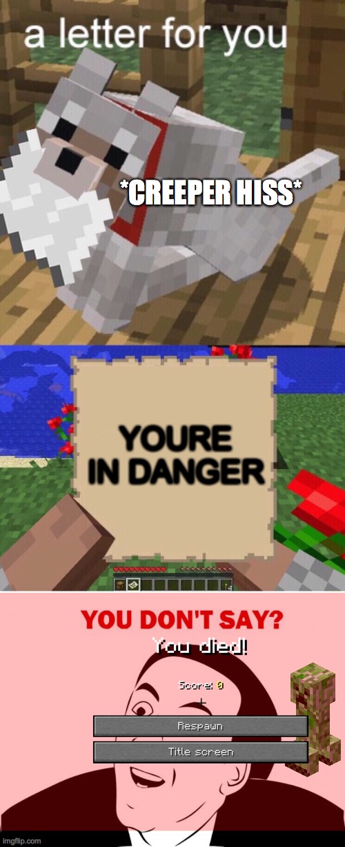 *CREEPER HISS*; YOURE IN DANGER | image tagged in minecraft mail,memes,you don't say | made w/ Imgflip meme maker