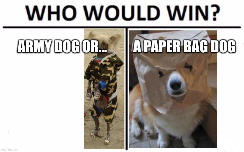 Even more doogys | ARMY DOG OR…; A PAPER BAG DOG | image tagged in memes,who would win | made w/ Imgflip meme maker