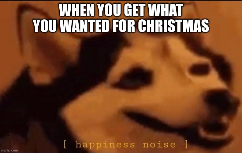 i want a body pillow | WHEN YOU GET WHAT YOU WANTED FOR CHRISTMAS | image tagged in happines noise | made w/ Imgflip meme maker
