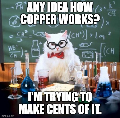 Gotta start somewhere! | ANY IDEA HOW COPPER WORKS? I'M TRYING TO MAKE CENTS OF IT. | image tagged in memes,chemistry cat,jokes,puns,chemistry,funny | made w/ Imgflip meme maker
