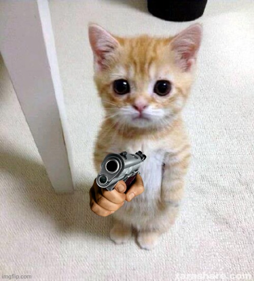 Cute Cat Meme | image tagged in memes,cute cat | made w/ Imgflip meme maker