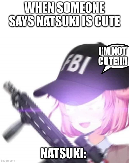 FBI Natsuki | WHEN SOMEONE SAYS NATSUKI IS CUTE; I'M NOT CUTE!!!! NATSUKI: | image tagged in fbi natsuki | made w/ Imgflip meme maker