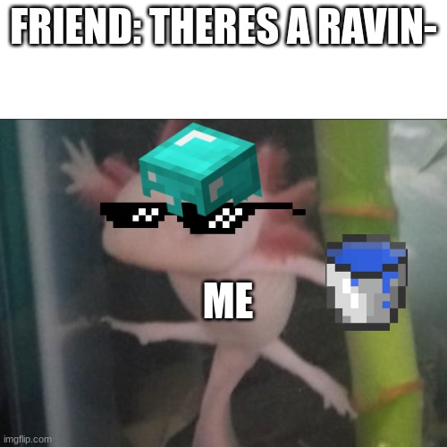 minecraft mlg epic gamer yes | FRIEND: THERES A RAVIN-; ME | image tagged in who has summoned the a x o l o t l | made w/ Imgflip meme maker