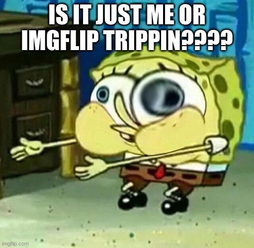 is it just me? | IS IT JUST ME OR IMGFLIP TRIPPIN???? | image tagged in lol is u ded,wtf,imgflip community | made w/ Imgflip meme maker