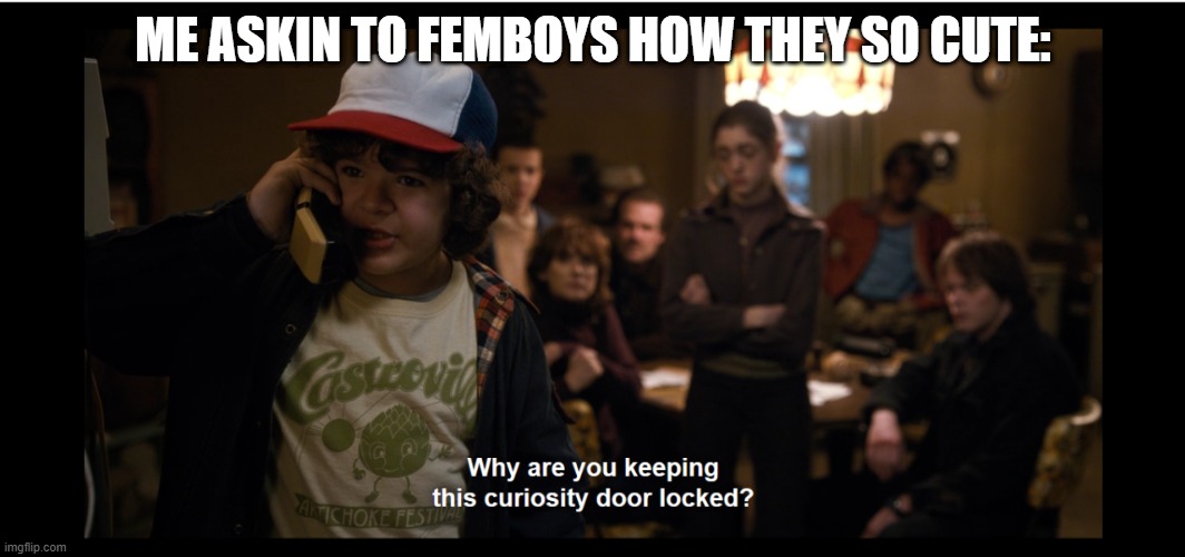 why are you keeping this curiosity door locked | ME ASKIN TO FEMBOYS HOW THEY SO CUTE: | image tagged in why are you keeping this curiosity door locked | made w/ Imgflip meme maker