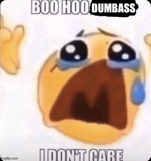 boo hoo I don't care | DUMBASS | image tagged in boo hoo i don't care | made w/ Imgflip meme maker