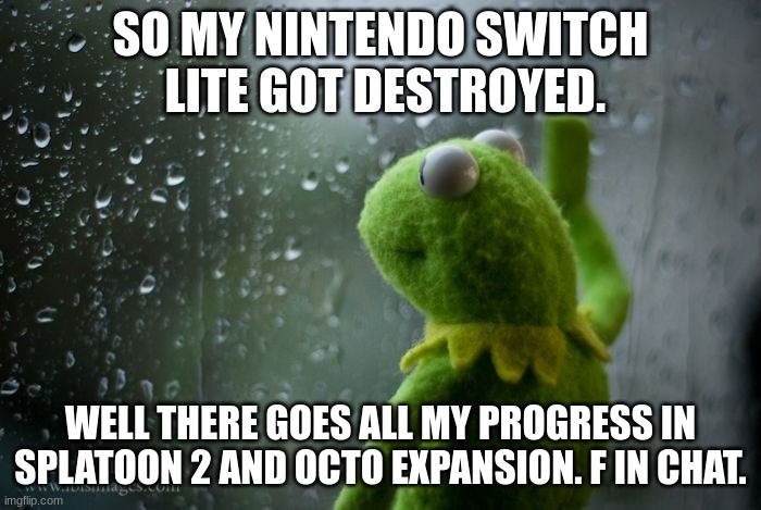 FFFFFFFFF | SO MY NINTENDO SWITCH  LITE GOT DESTROYED. WELL THERE GOES ALL MY PROGRESS IN SPLATOON 2 AND OCTO EXPANSION. F IN CHAT. | image tagged in kermit window | made w/ Imgflip meme maker