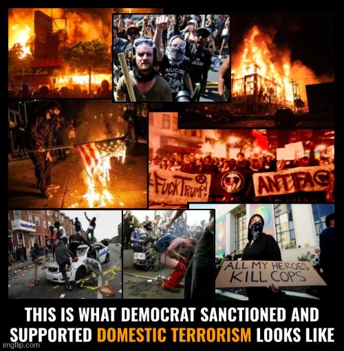 There's a bit of disparity between Democrats calling Trump supporters domestic terrorists and the actual terrorists Dems support | image tagged in antifa,black lives matter,domestic terrorism,democrats,politics,political | made w/ Imgflip meme maker