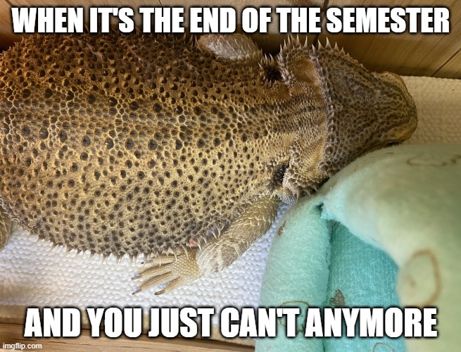 End of Semester | WHEN IT'S THE END OF THE SEMESTER; AND YOU JUST CAN'T ANYMORE | image tagged in school,tired,can't wake up,end of semester | made w/ Imgflip meme maker