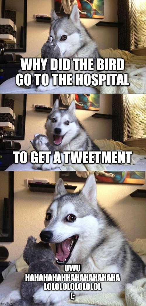 You have to admit the dog is pretty cute | WHY DID THE BIRD GO TO THE HOSPITAL; TO GET A TWEETMENT; UWU
HAHAHAHAHHAHAHAHAHAHA
LOLOLOLOLOLOLOL
(; | image tagged in memes,bad pun dog | made w/ Imgflip meme maker