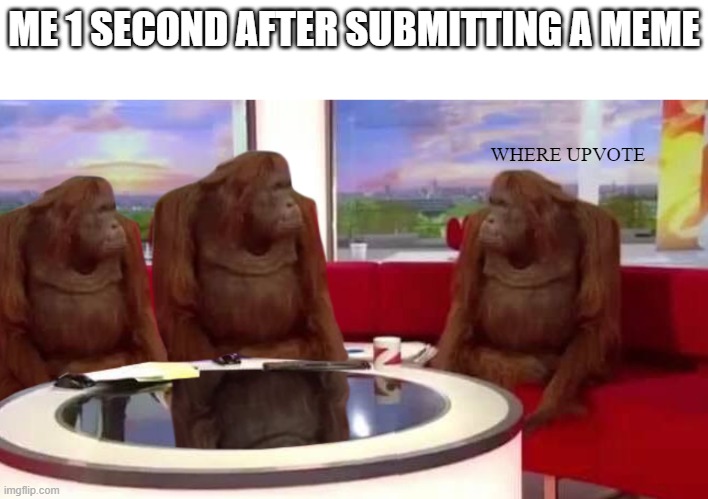 where monkey | ME 1 SECOND AFTER SUBMITTING A MEME; WHERE UPVOTE | image tagged in where monkey | made w/ Imgflip meme maker