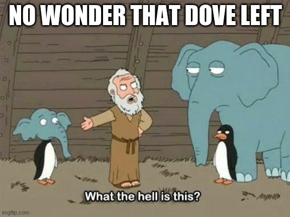 Elephant Penguin Meme | NO WONDER THAT DOVE LEFT | image tagged in elephant penguin meme | made w/ Imgflip meme maker
