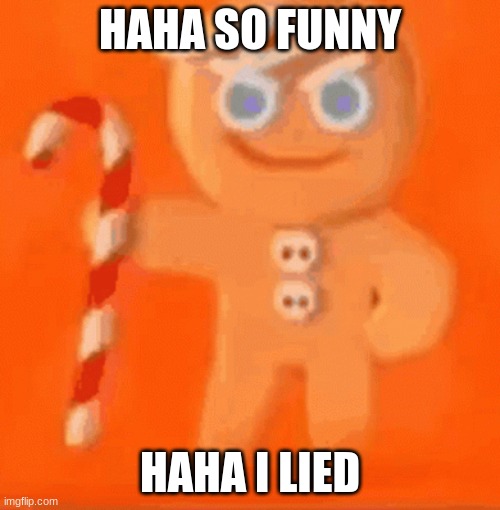 haha | HAHA SO FUNNY; HAHA I LIED | image tagged in funny | made w/ Imgflip meme maker