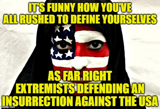 IT'S FUNNY HOW YOU'VE ALL RUSHED TO DEFINE YOURSELVES AS FAR RIGHT EXTREMISTS DEFENDING AN INSURRECTION AGAINST THE USA | made w/ Imgflip meme maker