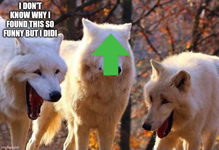 Laughing wolf | I DON'T KNOW WHY I FOUND THIS SO FUNNY BUT I DIDI | image tagged in laughing wolf | made w/ Imgflip meme maker