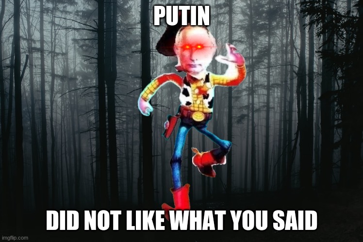 PUTIN; DID NOT LIKE WHAT YOU SAID | made w/ Imgflip meme maker