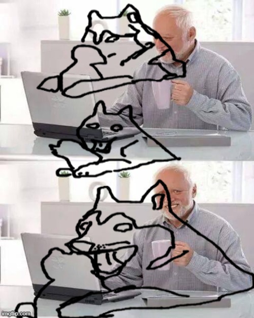 dog hide the pain harold | image tagged in memes,hide the pain harold | made w/ Imgflip meme maker