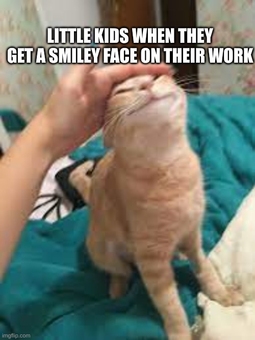 Happy boi | LITTLE KIDS WHEN THEY GET A SMILEY FACE ON THEIR WORK | image tagged in happy cat | made w/ Imgflip meme maker