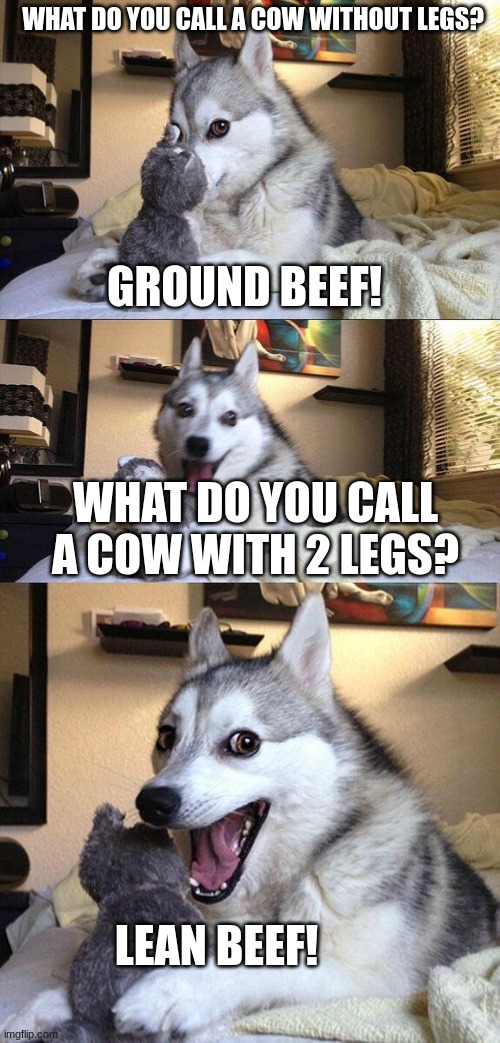 Bad Pun Dog | WHAT DO YOU CALL A COW WITHOUT LEGS? GROUND BEEF! WHAT DO YOU CALL A COW WITH 2 LEGS? LEAN BEEF! | image tagged in memes,bad pun dog | made w/ Imgflip meme maker