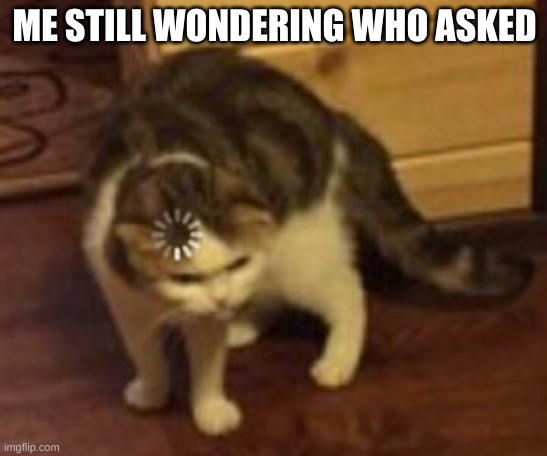 Loading cat | ME STILL WONDERING WHO ASKED | image tagged in loading cat | made w/ Imgflip meme maker