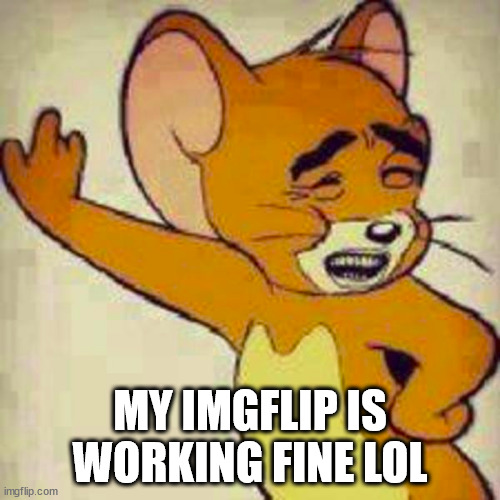 Jerry | MY IMGFLIP IS WORKING FINE LOL | image tagged in jerry | made w/ Imgflip meme maker