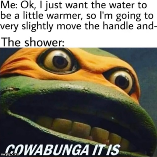 COWABUNGA | image tagged in idk wut to put | made w/ Imgflip meme maker