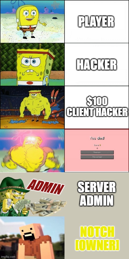 Minecraft Social-Scale. | PLAYER; HACKER; $100 CLIENT HACKER; SERVER ADMIN; ADMIN; NOTCH
[OWNER] | image tagged in sponge finna commit muder | made w/ Imgflip meme maker