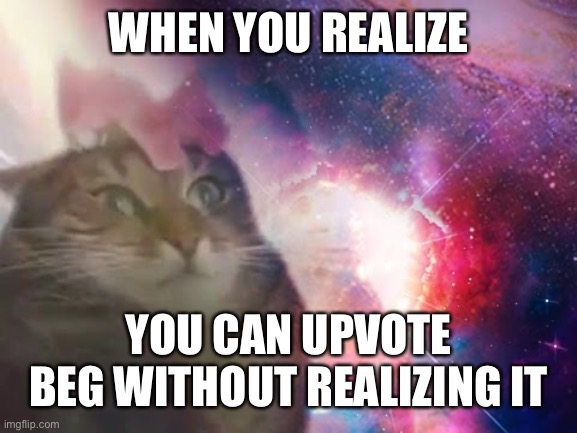 the prophecy is true cat | WHEN YOU REALIZE YOU CAN UPVOTE BEG WITHOUT REALIZING IT | image tagged in the prophecy is true cat | made w/ Imgflip meme maker