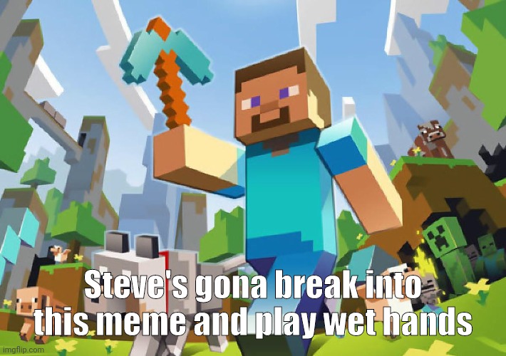 Minecraft  | Steve's gona break into this meme and play wet hands | image tagged in minecraft | made w/ Imgflip meme maker