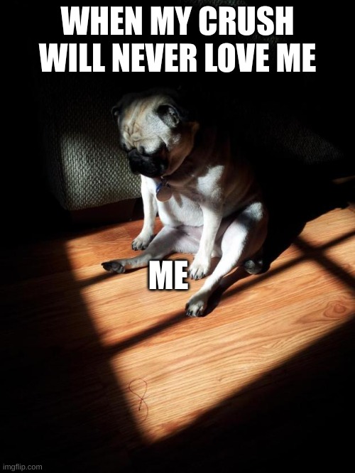 A lot of people can relate to this meme | WHEN MY CRUSH WILL NEVER LOVE ME; ME | image tagged in depressed pug | made w/ Imgflip meme maker