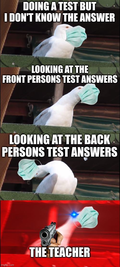 cookie | DOING A TEST BUT I DON'T KNOW THE ANSWER; LOOKING AT THE FRONT PERSONS TEST ANSWERS; LOOKING AT THE BACK PERSONS TEST ANSWERS; THE TEACHER | image tagged in memes,inhaling seagull | made w/ Imgflip meme maker