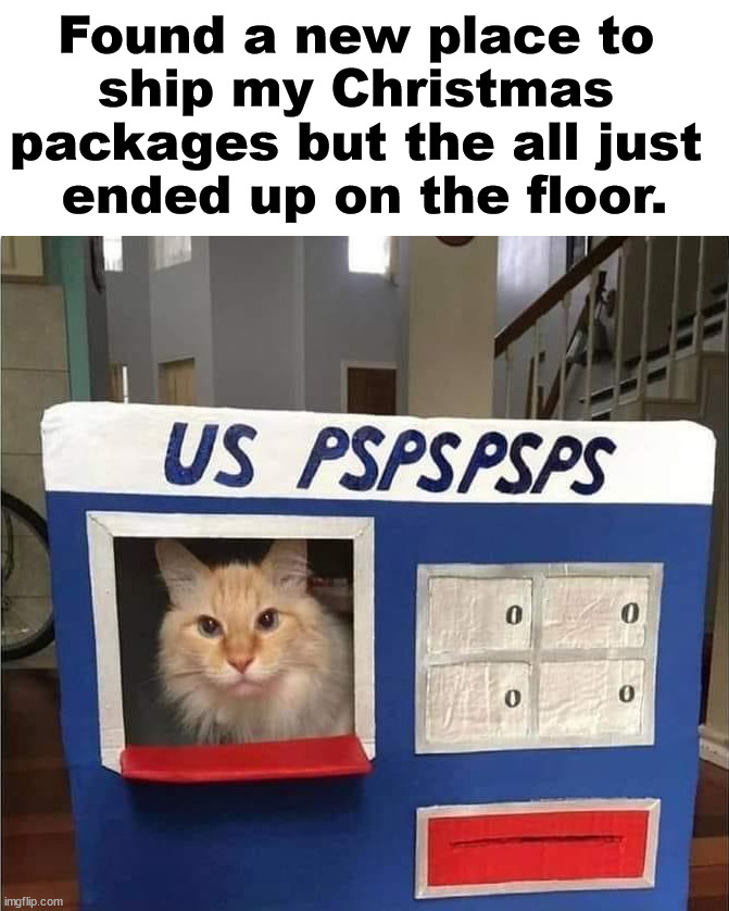 When it absolutely doesn't have to get there. | Found a new place to 
ship my Christmas 
packages but the all just 
ended up on the floor. | image tagged in cats,shipping,package,usps | made w/ Imgflip meme maker