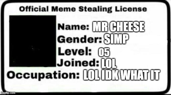 Meme Stealing License | MR CHEESE; SIMP; O5; LOL; LOL IDK WHAT IT | image tagged in meme stealing license | made w/ Imgflip meme maker