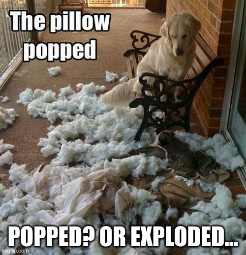 EX D |  POPPED? OR EXPLODED... | image tagged in one does not simply | made w/ Imgflip meme maker