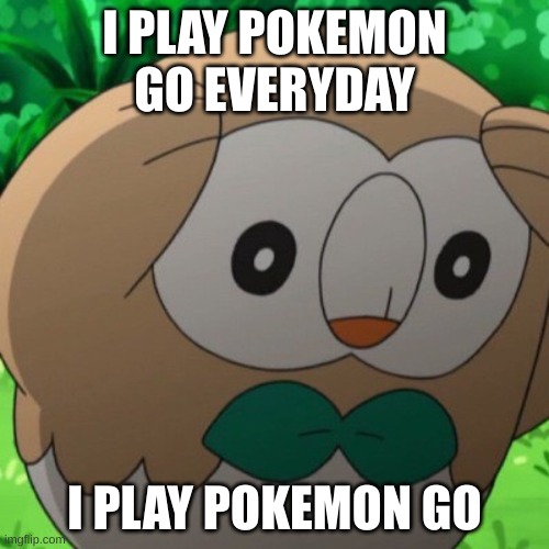 Pokemon Go song sing along | I PLAY POKEMON GO EVERYDAY; I PLAY POKEMON GO | image tagged in rowlet meme template | made w/ Imgflip meme maker