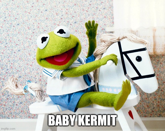 a wild baby kermit hanging in the seas |  BABY KERMIT | image tagged in funny,kermit the frog | made w/ Imgflip meme maker