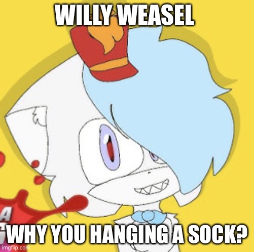 Orchid stare | WILLY WEASEL; WHY YOU HANGING A SOCK? | image tagged in orchid strange | made w/ Imgflip meme maker