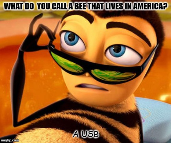 Daily Bad Dad Joke Dec 15 2021 | WHAT DO  YOU CALL A BEE THAT LIVES IN AMERICA? A USB | image tagged in bee movie | made w/ Imgflip meme maker