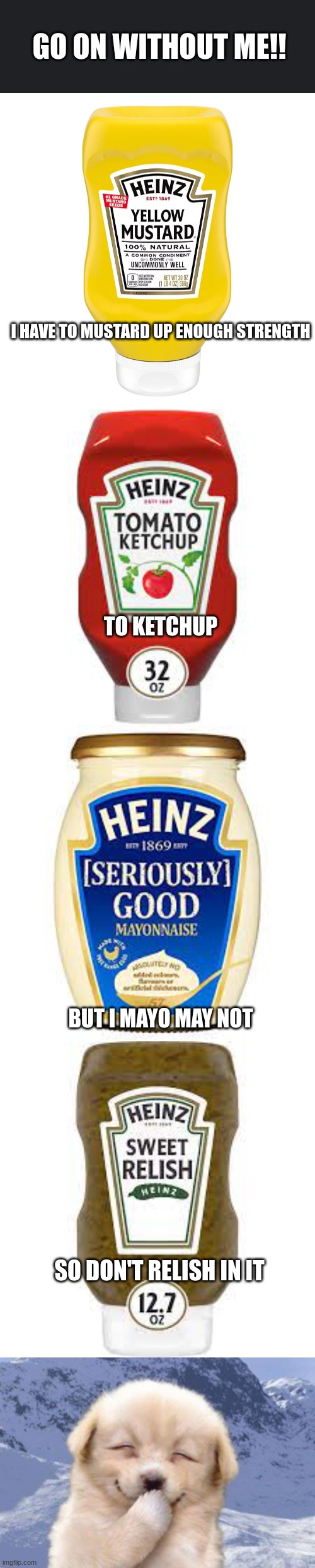  GO ON WITHOUT ME!! I HAVE TO MUSTARD UP ENOUGH STRENGTH; TO KETCHUP; BUT I MAYO MAY NOT; SO DON'T RELISH IN IT | image tagged in memes,laughing dog,ketchup,mustard,mayonnaise,relish | made w/ Imgflip meme maker