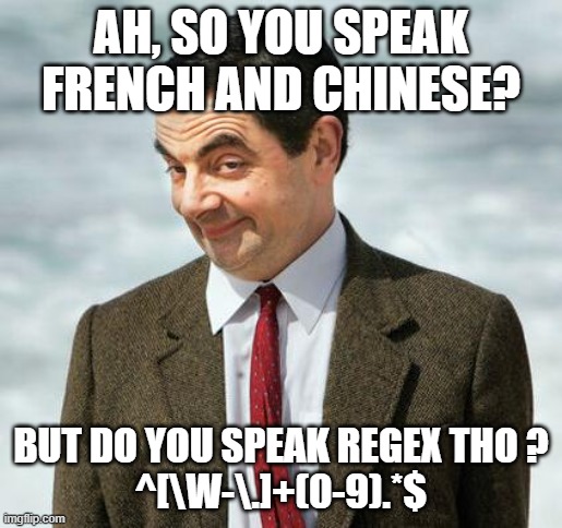 Regex programmer |  AH, SO YOU SPEAK FRENCH AND CHINESE? BUT DO YOU SPEAK REGEX THO ?
^[\W-\.]+(0-9).*$ | image tagged in mr bean | made w/ Imgflip meme maker