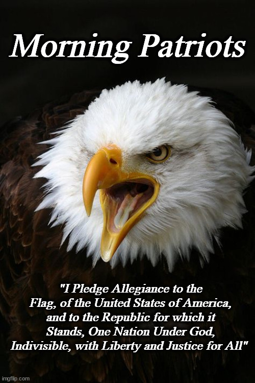 eagle | Morning Patriots; "I Pledge Allegiance to the Flag, of the United States of America, and to the Republic for which it Stands, One Nation Under God, Indivisible, with Liberty and Justice for All" | image tagged in eagle | made w/ Imgflip meme maker