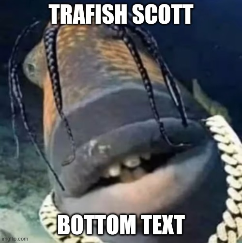 Trafish Scott | TRAFISH SCOTT; BOTTOM TEXT | image tagged in trafish scott | made w/ Imgflip meme maker