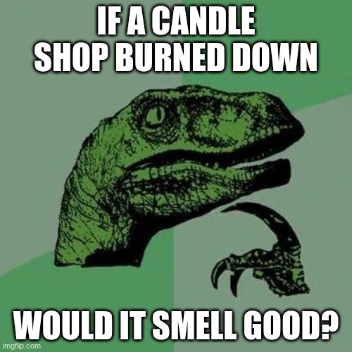 raptor asking questions | IF A CANDLE SHOP BURNED DOWN; WOULD IT SMELL GOOD? | image tagged in raptor asking questions | made w/ Imgflip meme maker